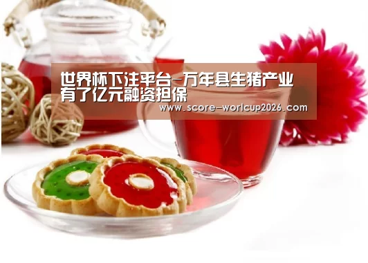 世界杯下注网站