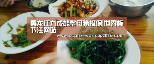 世界杯投注站
